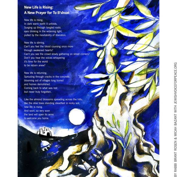 1929938_10153835222300135_4946560102583530513_n